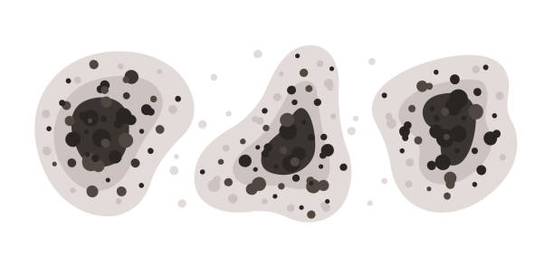 Best Air Quality Testing for Mold Spores  in Pocahontas, AR