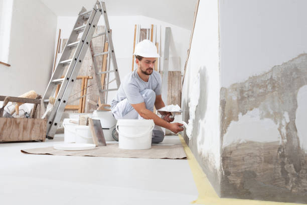 Best Environmental Consulting for Mold Prevention  in Pocahontas, AR