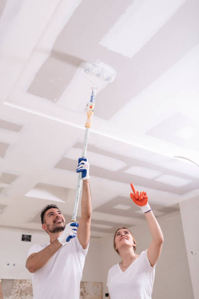 Mold Documentation for Insurance Claims in Pocahontas, AR