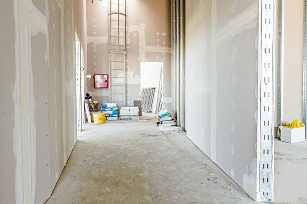 Best Air Quality Testing for Mold Spores  in Pocahontas, AR