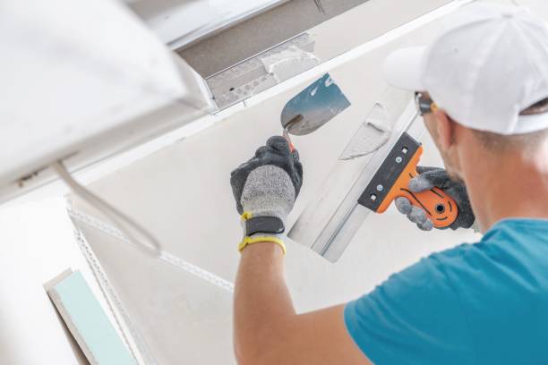 Best Residential Mold Inspection & Testing  in Pocahontas, AR